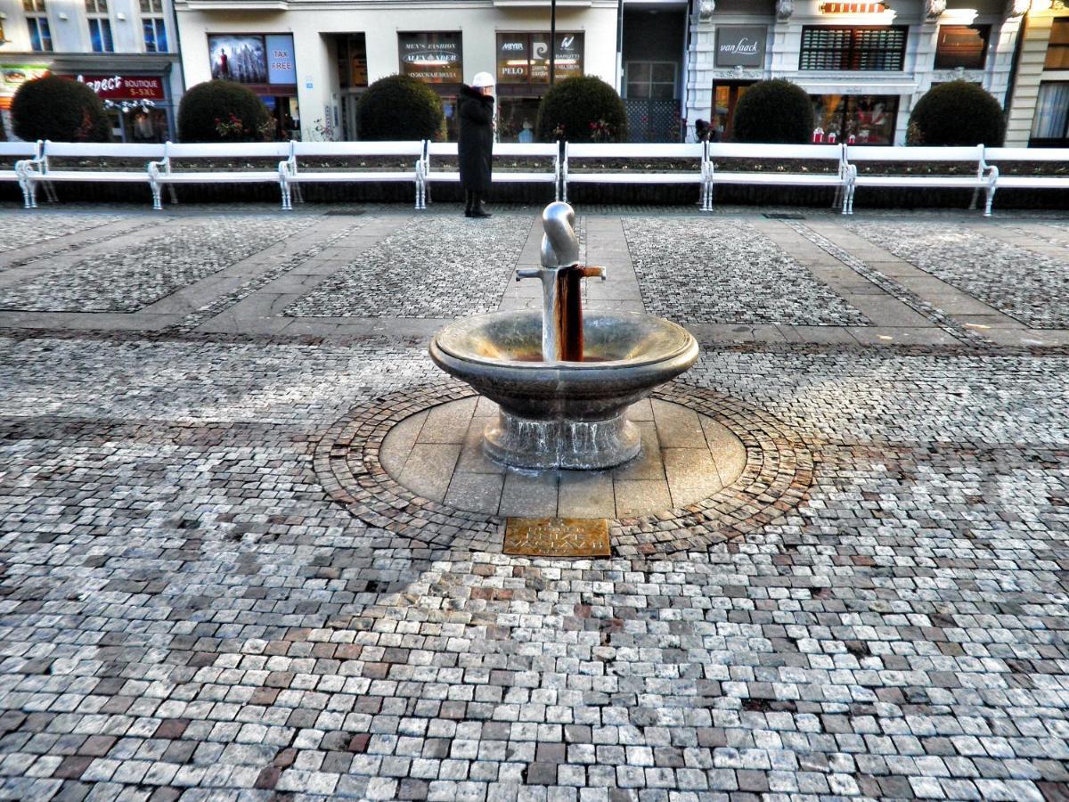Apartman Lukas Karlovy Vary Dış mekan fotoğraf